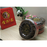 金线莲#金线莲种苗-大叶品种 