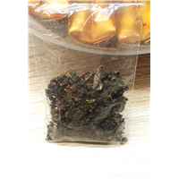 金线莲苗-台湾品种 