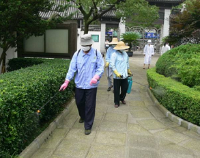 菏泽灭鼠咨询电话