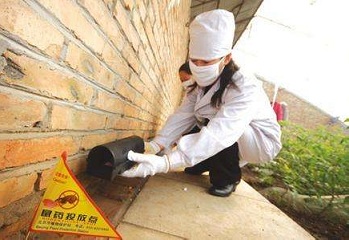 ms39菏泽仓库灭鼠公司报价 