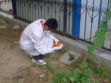 ms33菏泽专业除老鼠价格♪♪ 