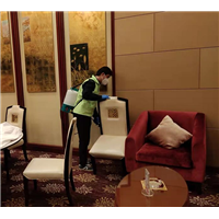 韶关杀虫公司