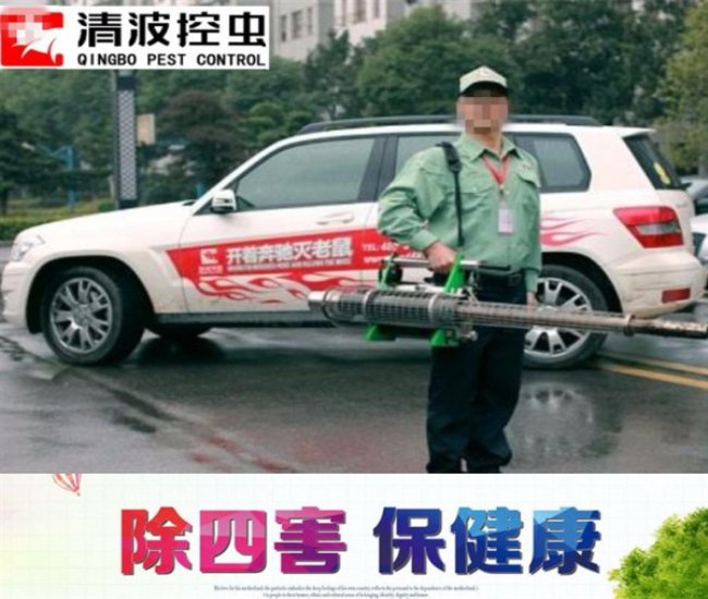 徐州灭蟑螂 