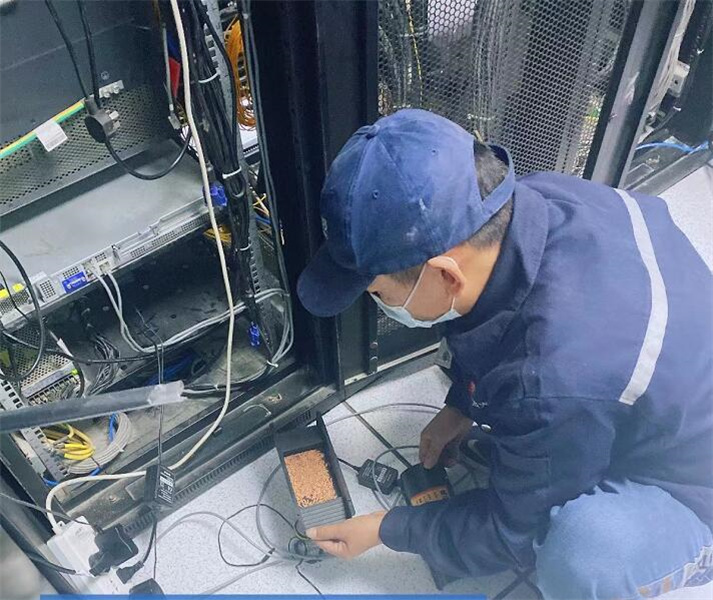 徐州杀虫公司