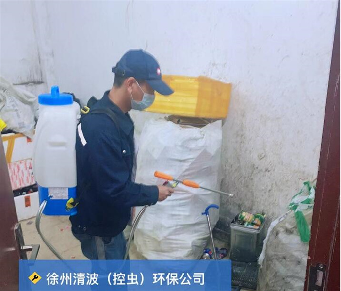 徐州灭蟑螂公司