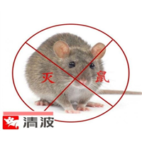徐州杀虫公司电话 