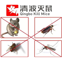 徐州灭鼠公司 