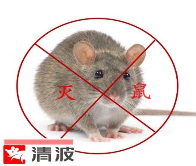 徐州杀虫公司电话 