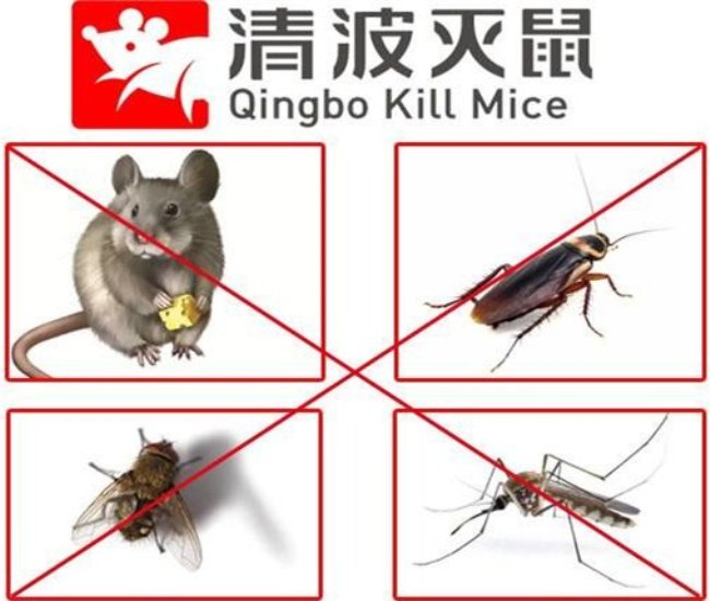 徐州灭鼠公司 