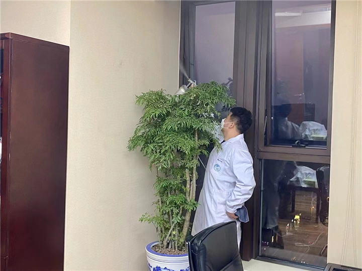 常熟除甲醛公司哪家好