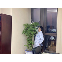 常熟除甲醛公司哪家好