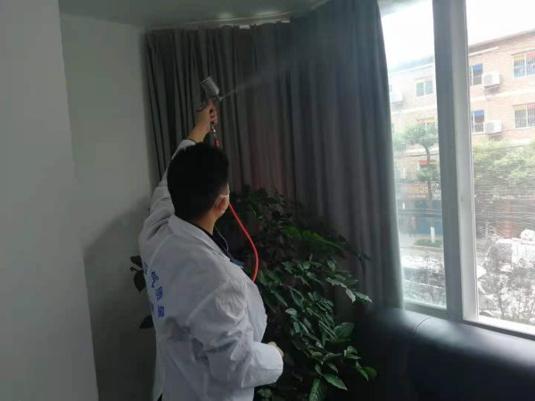 乐山银行除甲醛 