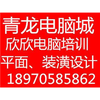 欣欣电脑 