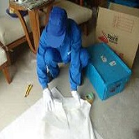 冷水江搬家电话 