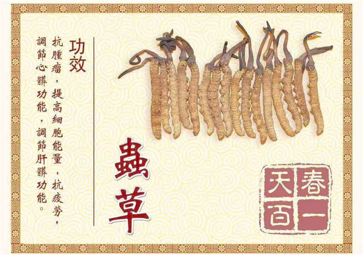 武汉虫草回收