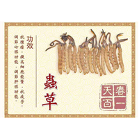 武汉虫草回收