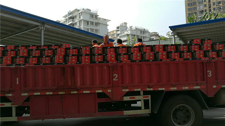 厦门蚂蚁搬家