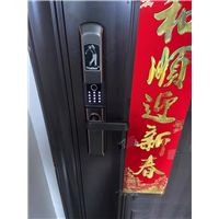 庐江开汽车锁