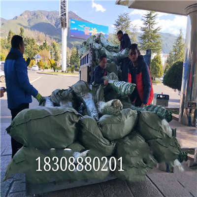 丽江雪桃苗供销 