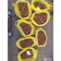 绵阳回收虫草电话；15861187903 