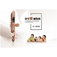 N6指纹防盗锁-湖北耐特指纹锁招商