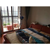 碧桂园甲醛治理