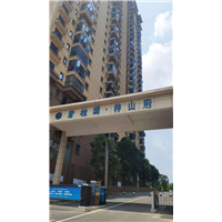 碧桂园-梓山府甲醛治理