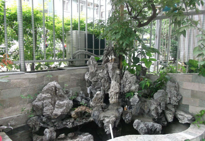 假山鱼池