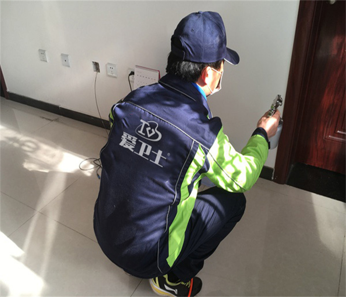兰州除甲醛机构