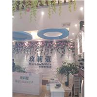 钦州新阳街94号玫莉蔻甲醛治理工程