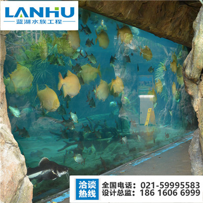 水族景观工程，水族馆水景工程 