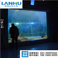 海洋馆鱼缸，展览馆展示鱼缸 