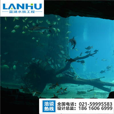 海底隧道，上海大型鱼缸定制 