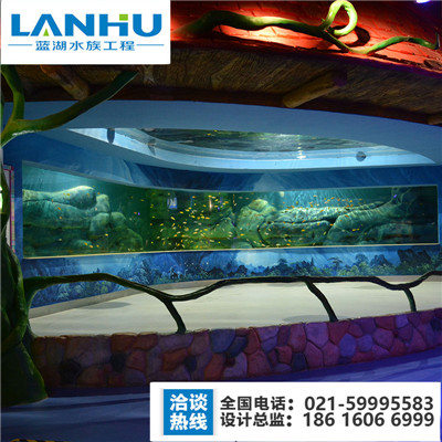 海洋馆建设，海洋馆建设 