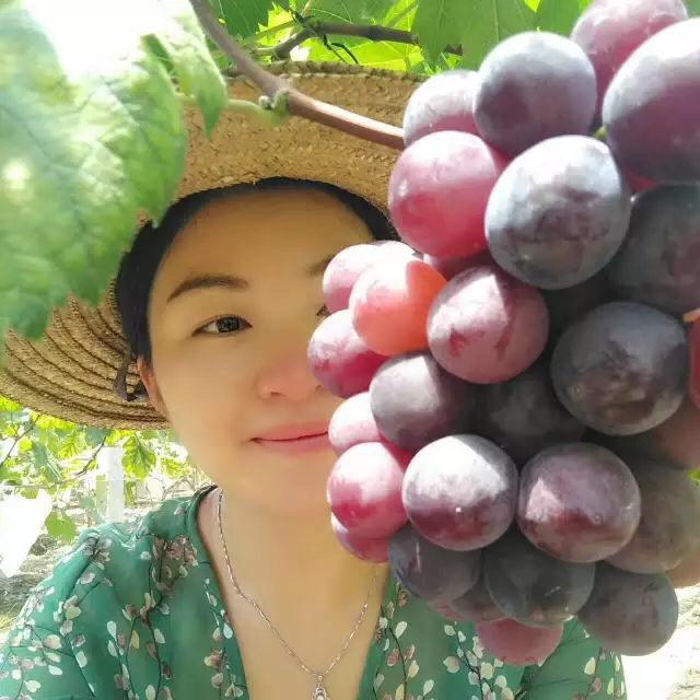 深圳葡萄果、深圳葡萄苗、自酿葡萄酒全面上市