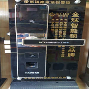 怀仁专业安装指纹锁 