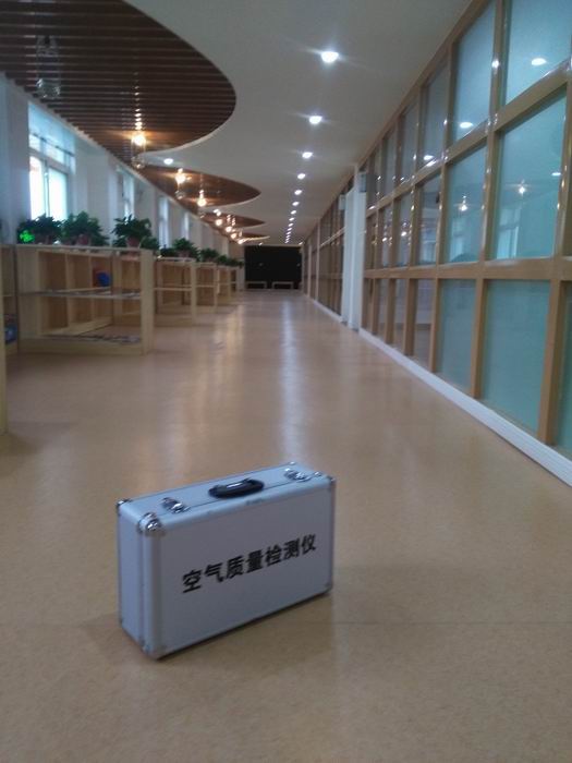 除甲醛专业公司@专业除甲醛