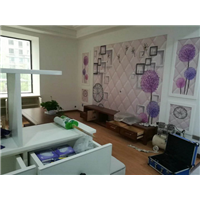襄阳除甲醛公司