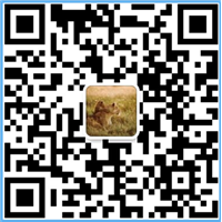 【温州机械钻井】台州反循环钻井机 