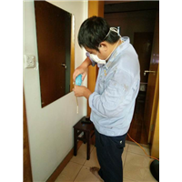 晋江捉老鼠|晋江杀蟑螂