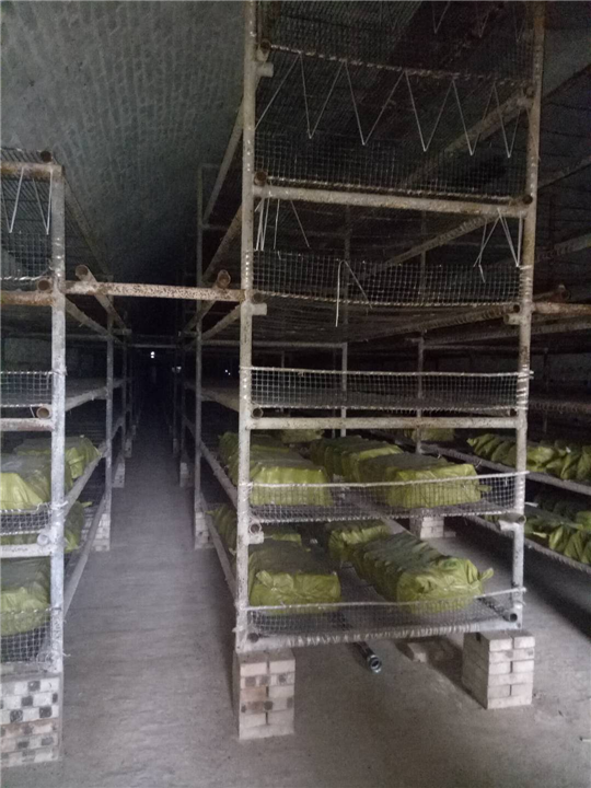 临汾市蘑菇销售 