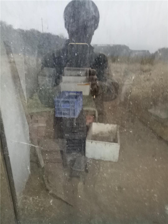 临汾市蘑菇销售 
