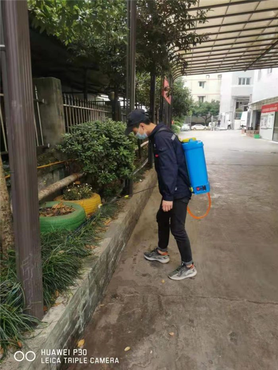 沙坪坝灭鼠灭蟑螂除四害公司