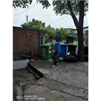 重庆灭鼠公司