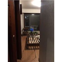 台州专业除甲醛公司 