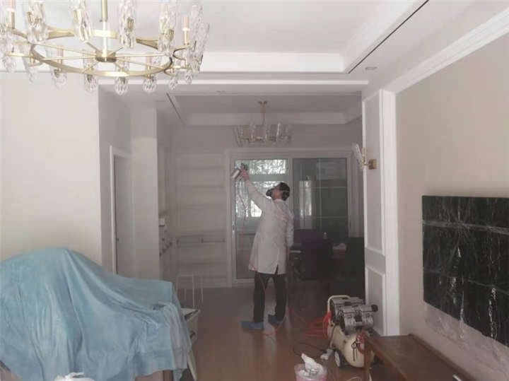 丽都文华甲醛治理 