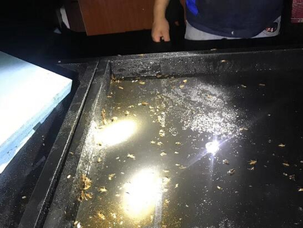 余姚工厂杀虫灭鼠电话
