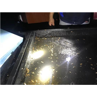 余姚工厂杀虫灭鼠电话
