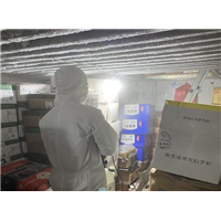 余姚灭鼠公司