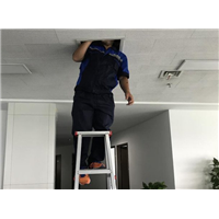 余姚小区杀虫灭鼠